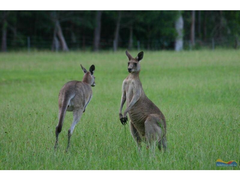 L1 327  Dath Henderson Road, Tinbeerwah QLD 4563