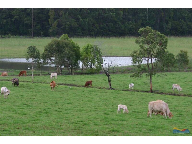 L1 327  Dath Henderson Road, Tinbeerwah QLD 4563