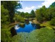210 Lonehand Road, Eumundi QLD 4562