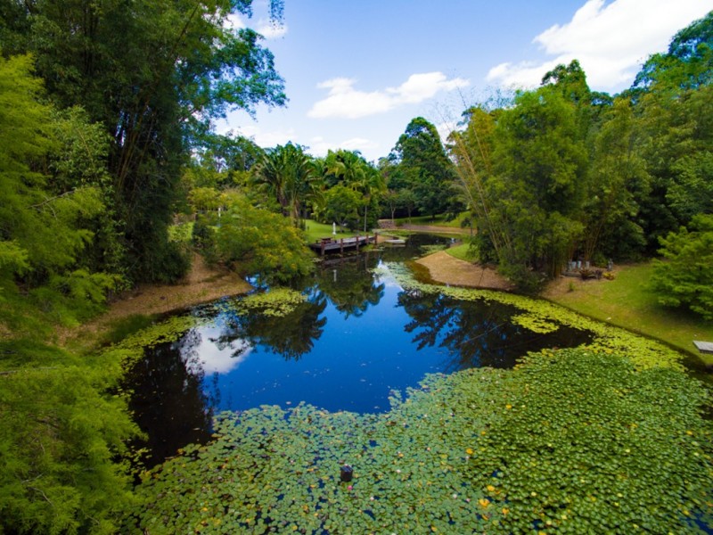 210 Lonehand Road, Eumundi QLD 4562