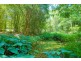 210 Lonehand Road, Eumundi QLD 4562