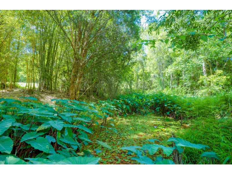 210 Lonehand Road, Eumundi QLD 4562