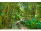 210 Lonehand Road, Eumundi QLD 4562