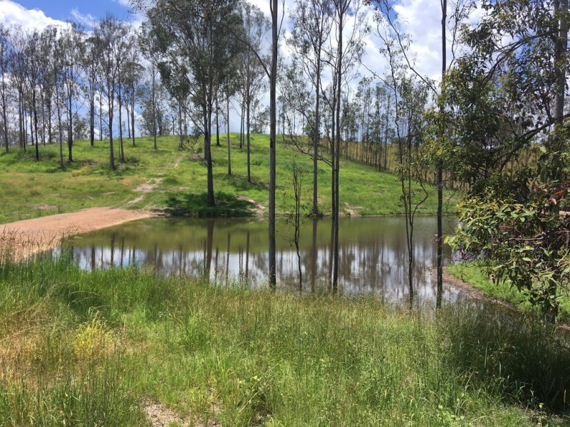 1692 Kenilworth Skyring Creek, Tuchekoi QLD 4570