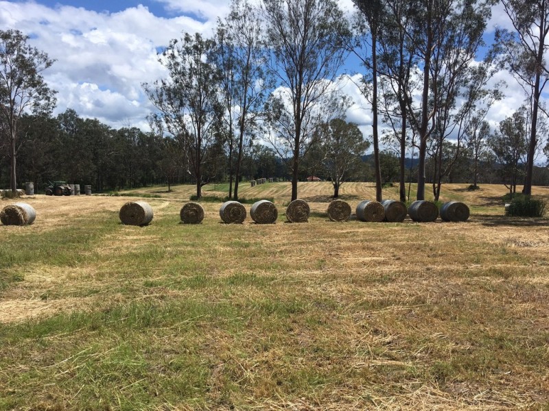 1692 Kenilworth Skyring Creek, Tuchekoi QLD 4570