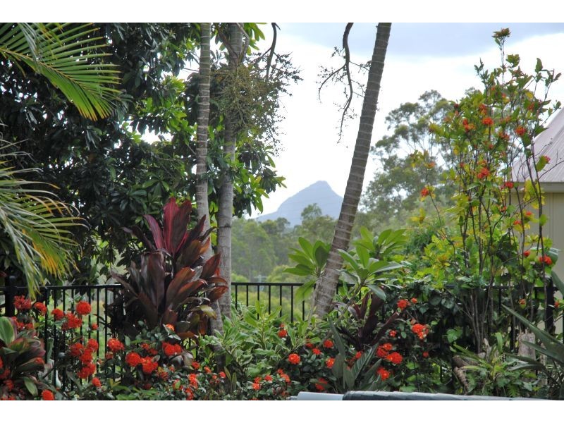 Cooroy QLD 4563