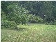 Cooroy QLD 4563