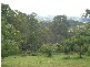 Cooroy QLD 4563