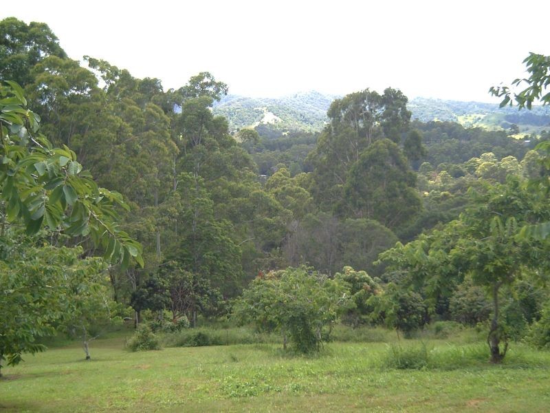 Cooroy QLD 4563