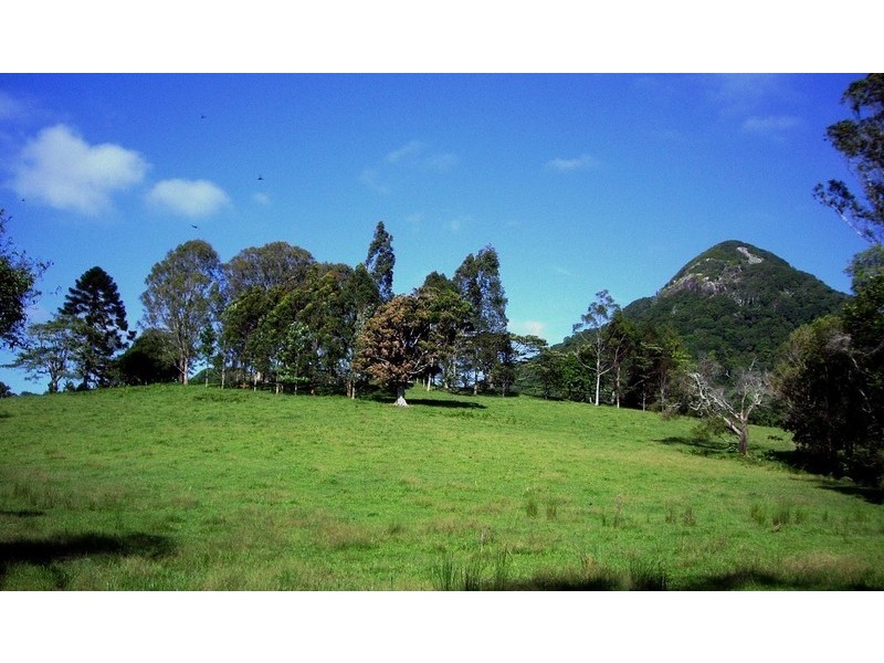 Cooroy Mountain QLD 4563