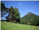 Cooroy Mountain QLD 4563