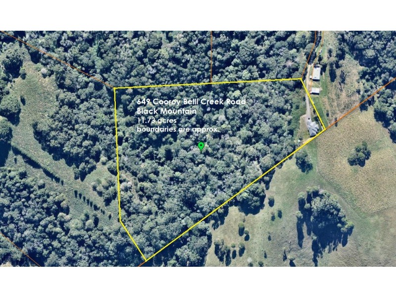 649 Cooroy Belli Ck Rd, Black Mountain QLD 4563