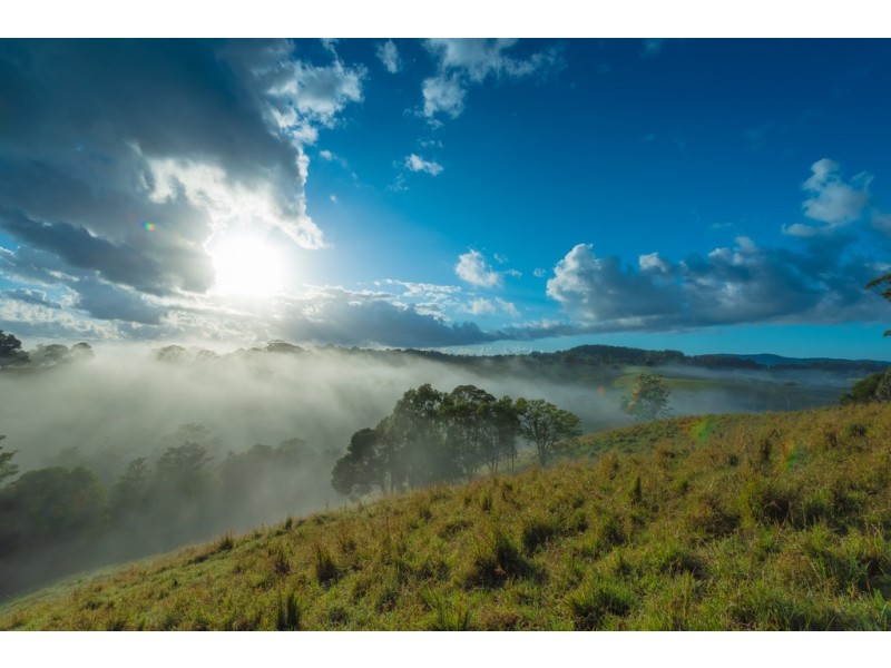 649 Cooroy Belli Ck Rd, Black Mountain QLD 4563