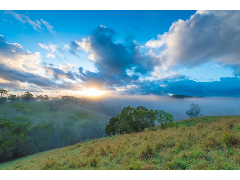 649 Cooroy Belli Ck Rd, Black Mountain QLD 4563