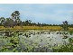 Traveston QLD 4570