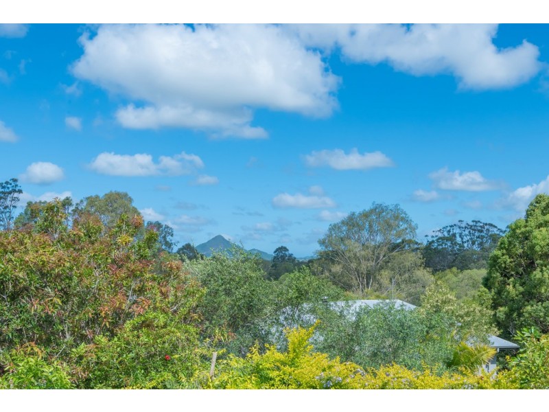 17 Watergum Place, Black Mountain QLD 4563
