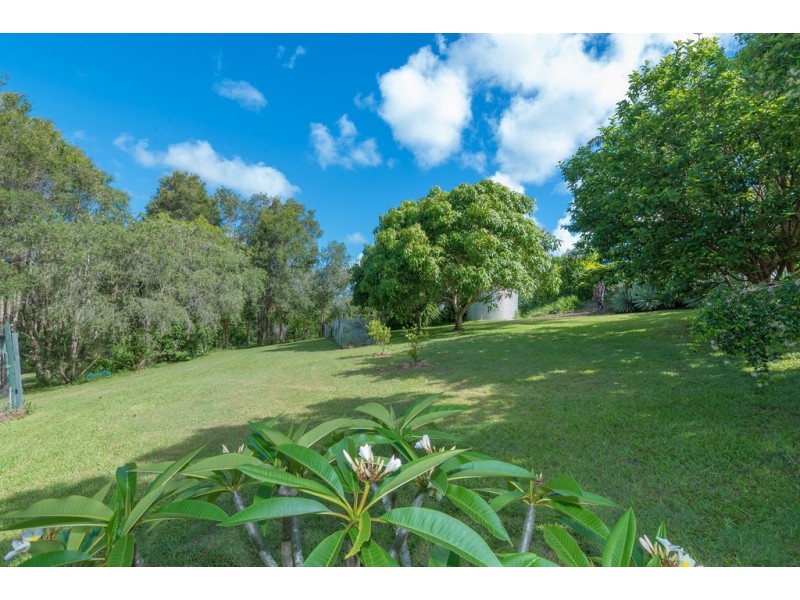 17 Watergum Place, Black Mountain QLD 4563