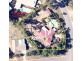 70 Blueberry Drive, Black Mountain QLD 4563