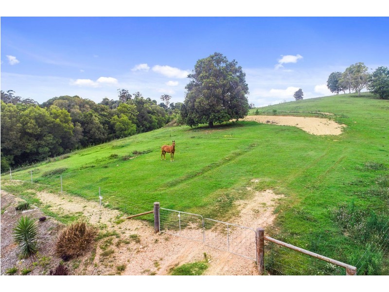 43 Booyong Drive, Black Mountain QLD 4563