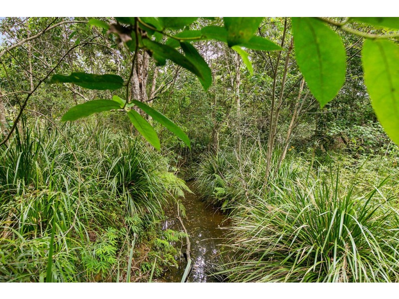 43 Booyong Drive, Black Mountain QLD 4563