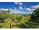 Eumundi QLD 4562