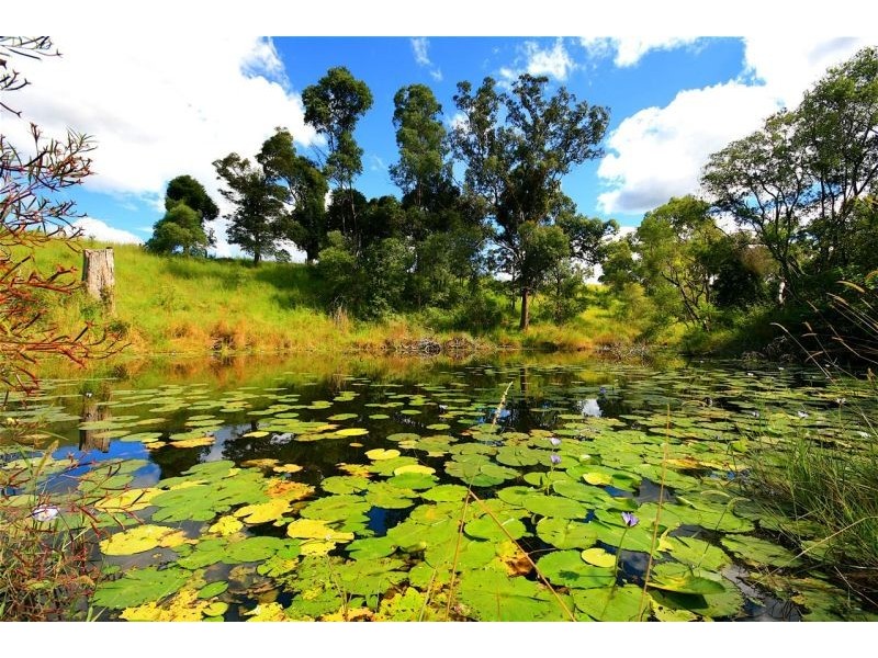 Eumundi QLD 4562