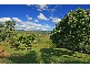 Eumundi QLD 4562