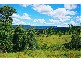 Eumundi QLD 4562