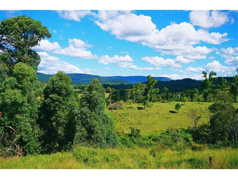 Eumundi QLD 4562