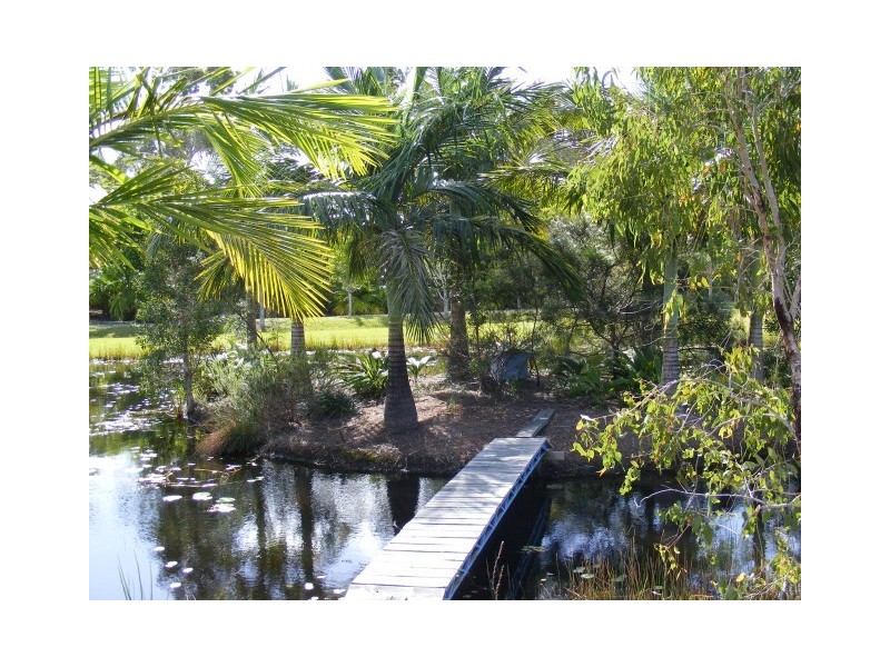 70 Callistemon Court, Cootharaba QLD 4565