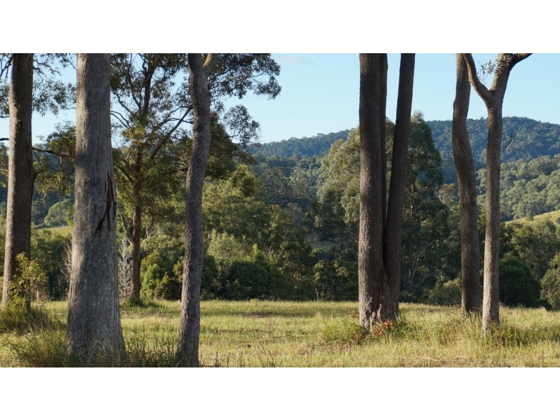 Carters Ridge QLD 4563