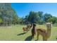 363 Lake Macdonald Drive, Lake Macdonald QLD 4563