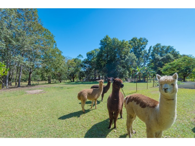 363 Lake Macdonald Drive, Lake Macdonald QLD 4563