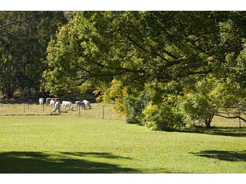 277 Cooroy Mountain Rd, Cooroy Mountain QLD 4563