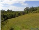 85 Grasstree Road, Eumundi QLD 4562