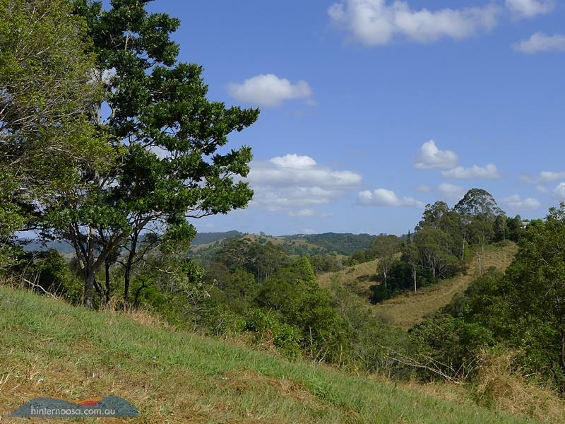 85 Grasstree Road, Eumundi QLD 4562