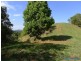 85 Grasstree Road, Eumundi QLD 4562