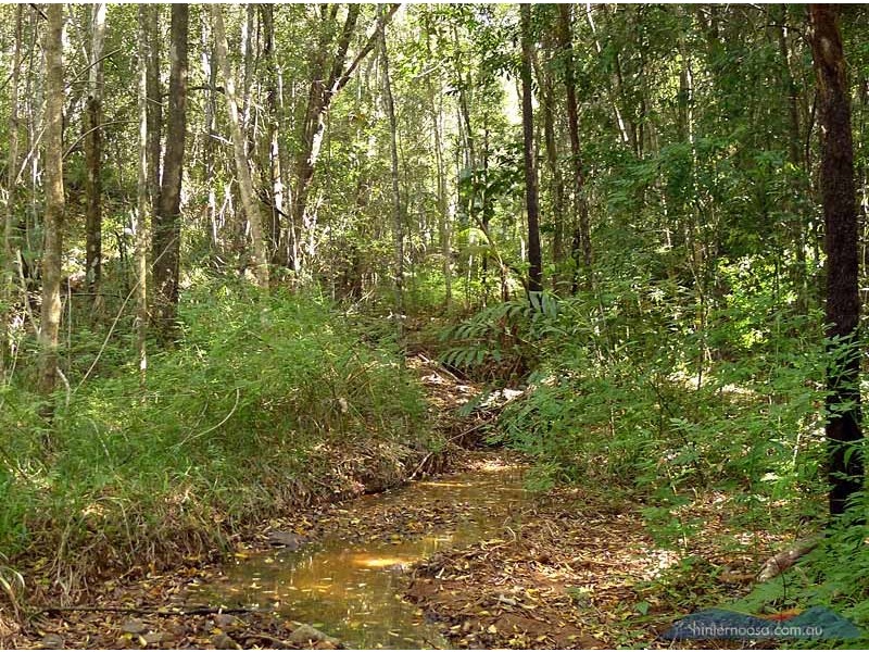 85 Grasstree Road, Eumundi QLD 4562