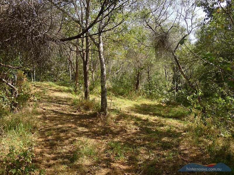 85 Grasstree Road, Eumundi QLD 4562