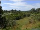 85 Grasstree Road, Eumundi QLD 4562