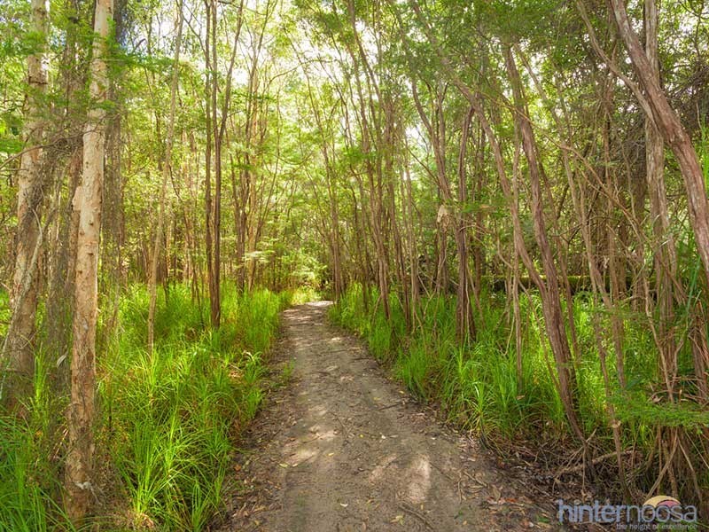 85 Duke Road, Doonan QLD 4562