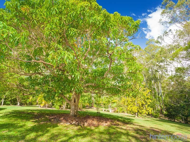 85 Duke Road, Doonan QLD 4562