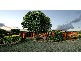 Cooroy QLD 4563