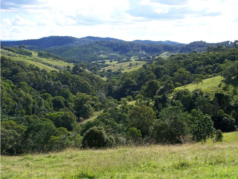 Cooroy QLD 4563