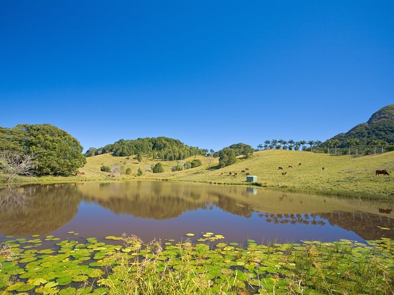 Lot 16 Solar Rd ‘Eagles Nest’, Cooroy Mountain QLD 4563