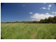Doonan QLD 4562
