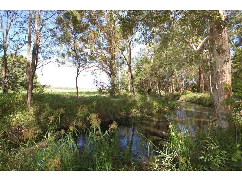 Doonan QLD 4562