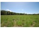 Doonan QLD 4562