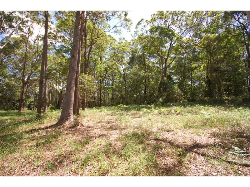 Doonan QLD 4562