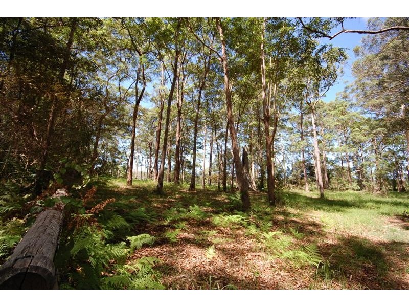 Doonan QLD 4562